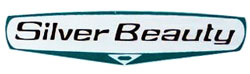 80594 Silver Beauty Voltmeter Testmeter For 8556